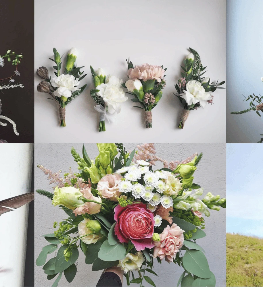 Flower pictures